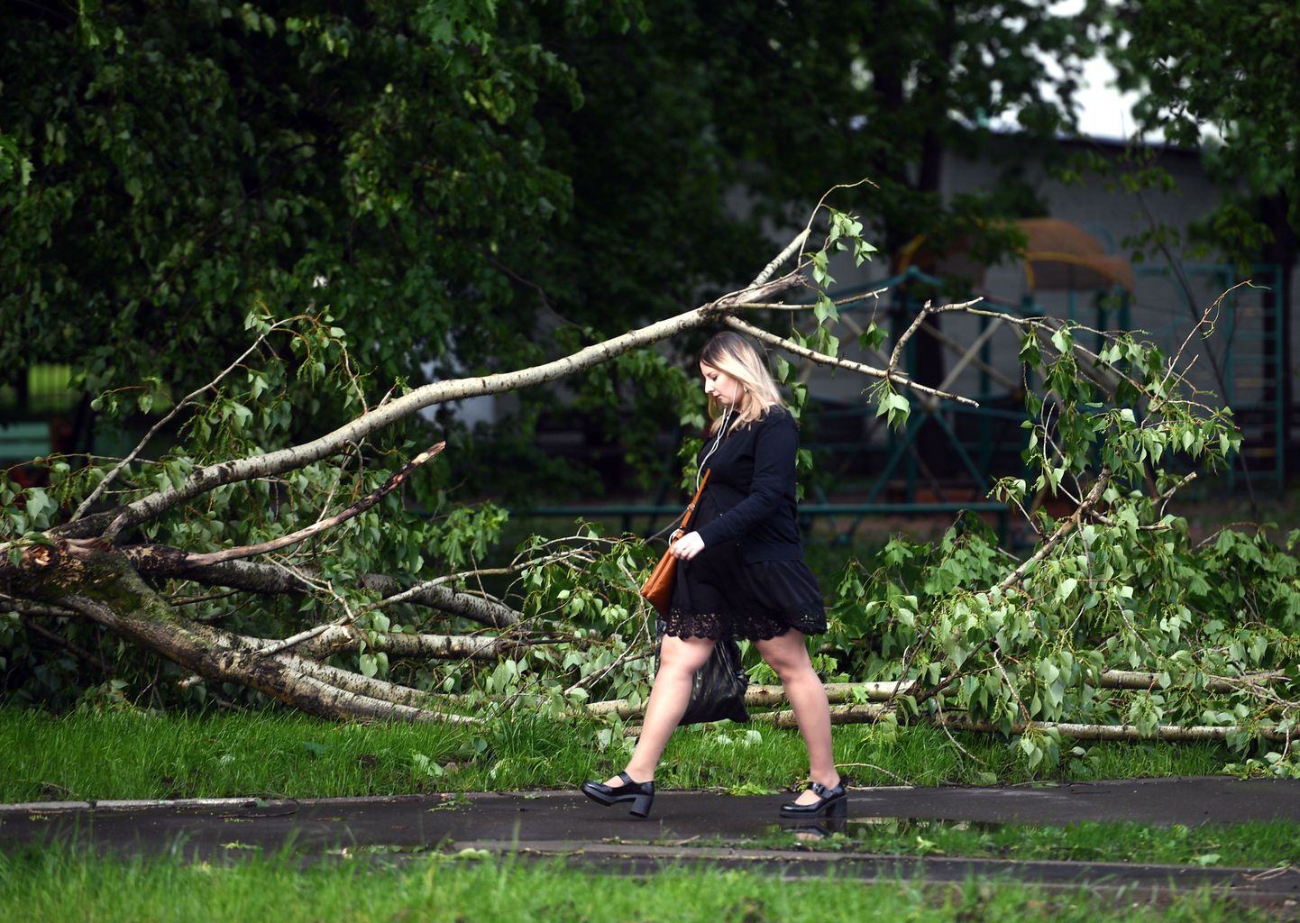 Ранее ураган повалил деревья в Москве.