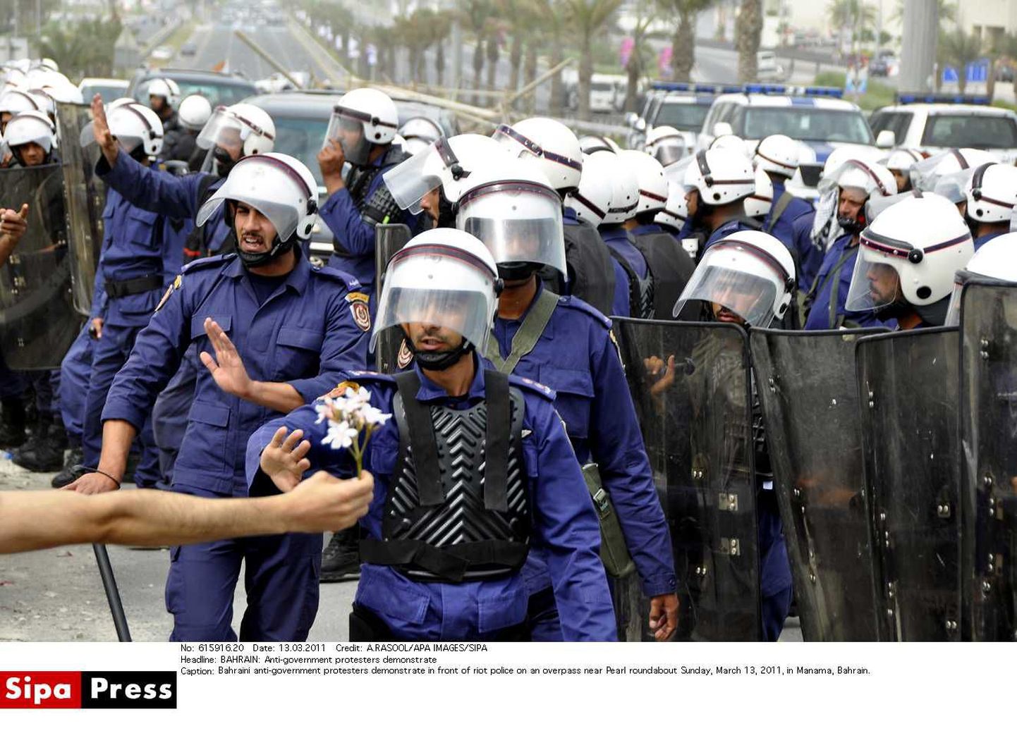 Bahreini märulipolitsei.