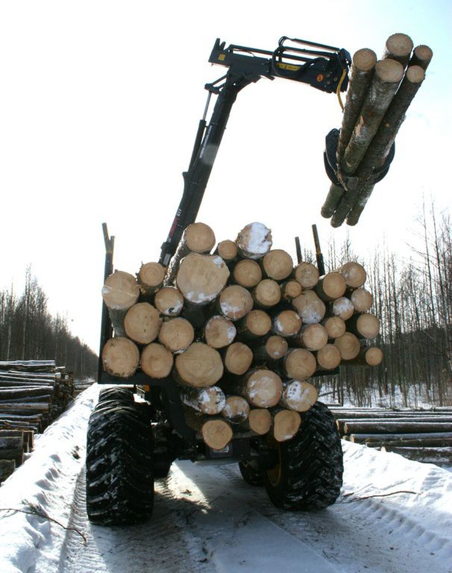 Metsa väljavedu RMK Edela regiooni Orajõe metskonna lageraielangilt.