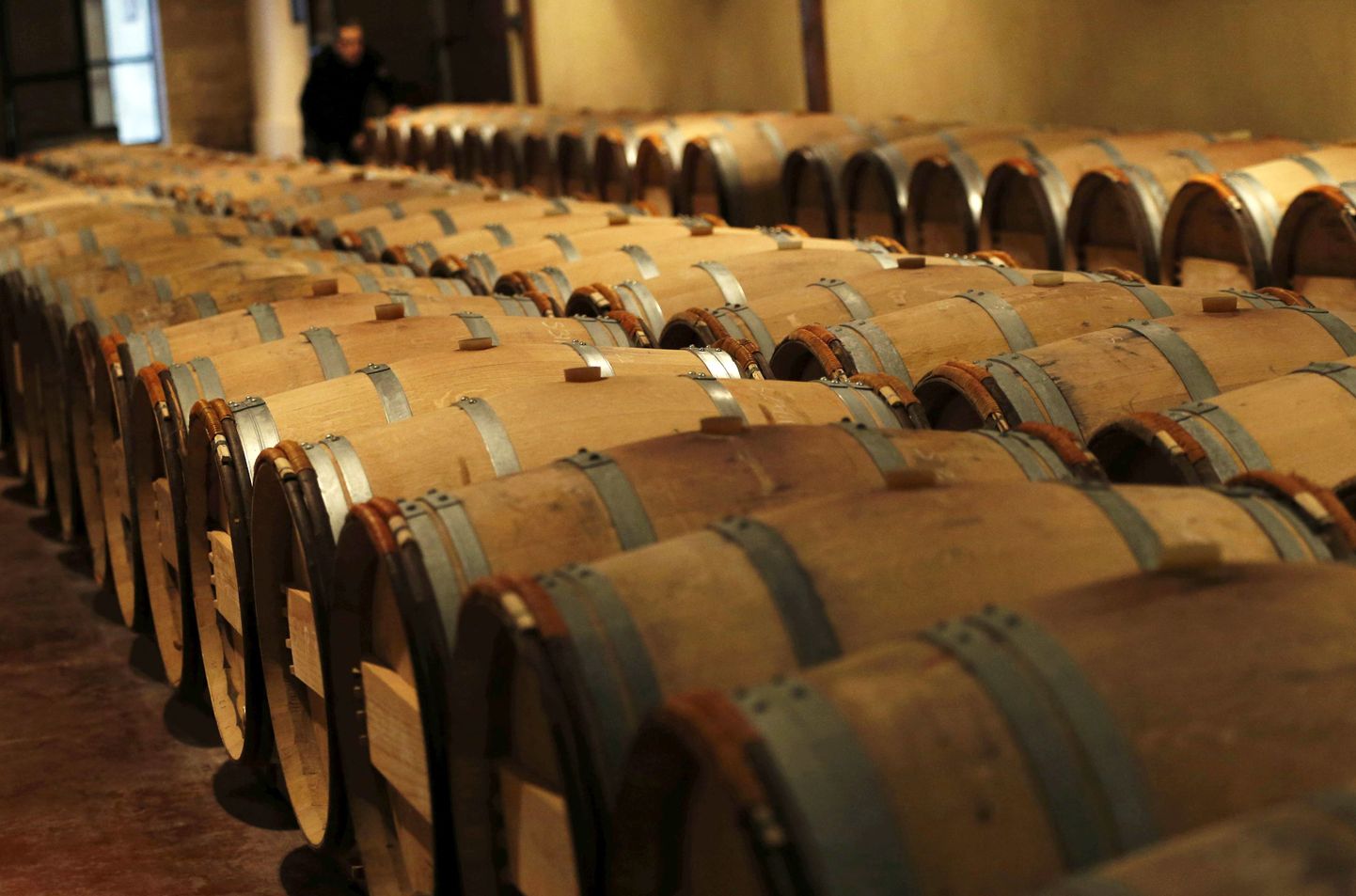 Veinivaadid Chateau Domaine de Chevalier veinikeldrid Bordeaux lähedal Prantsuamaal.