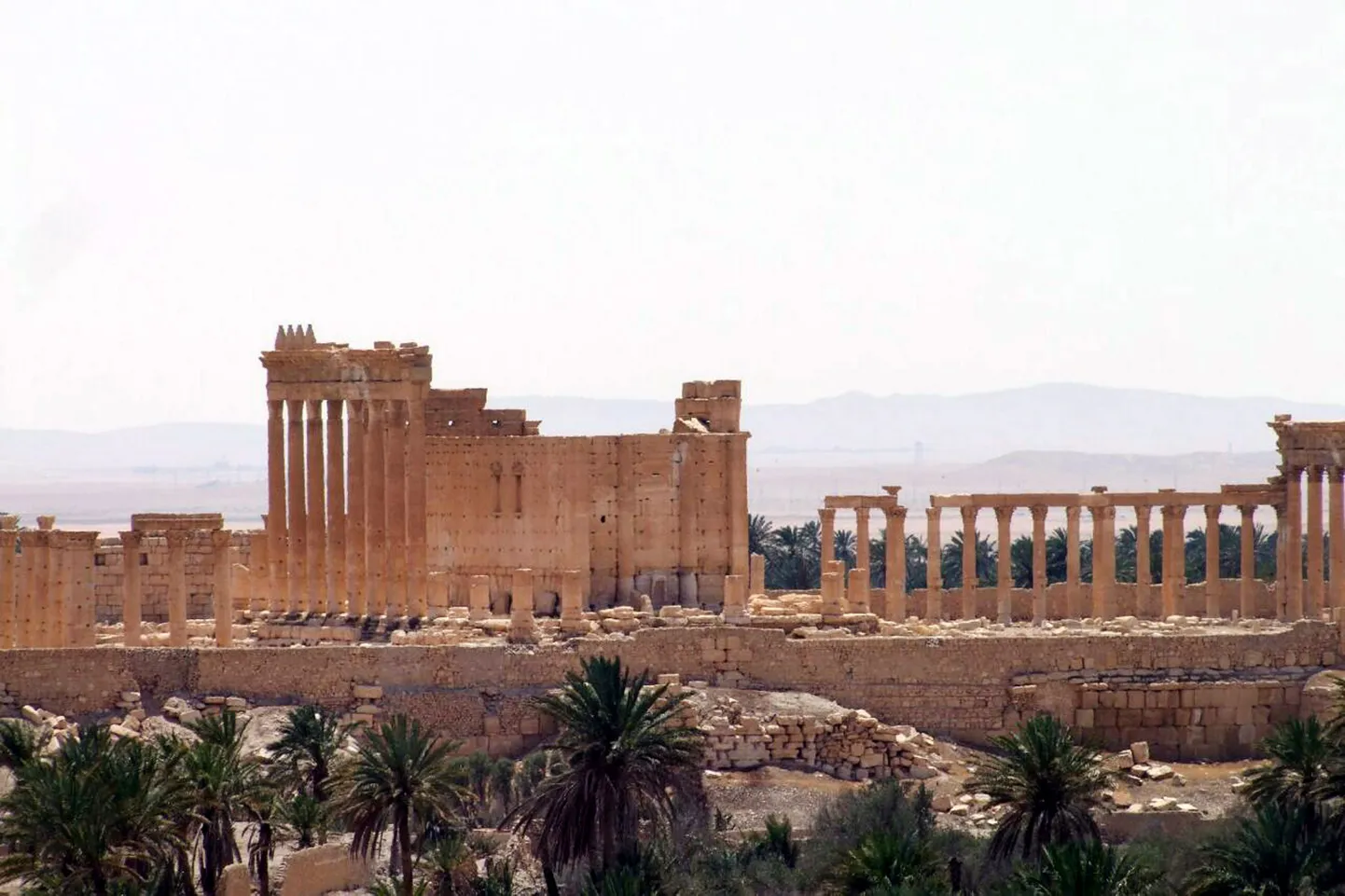Древняя Пальмира.