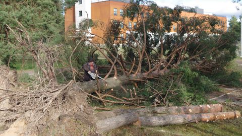 ����: rus.postimees.ee