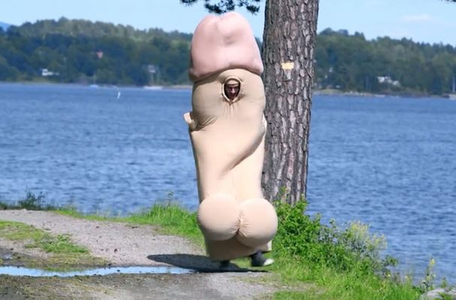 Seksuaalkasvatus Norra viisil - ringi liikuva peenise abil