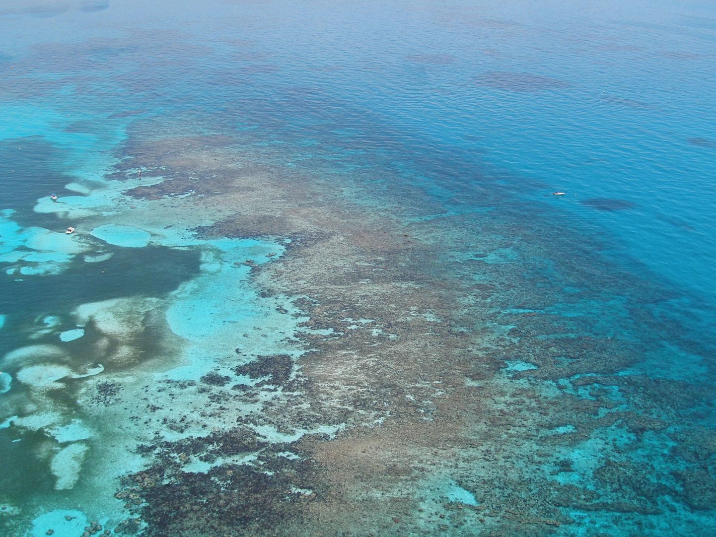 Florida Keys saarestikus asuv Carysforti korallriff. Kaugemal on näha naftalaike