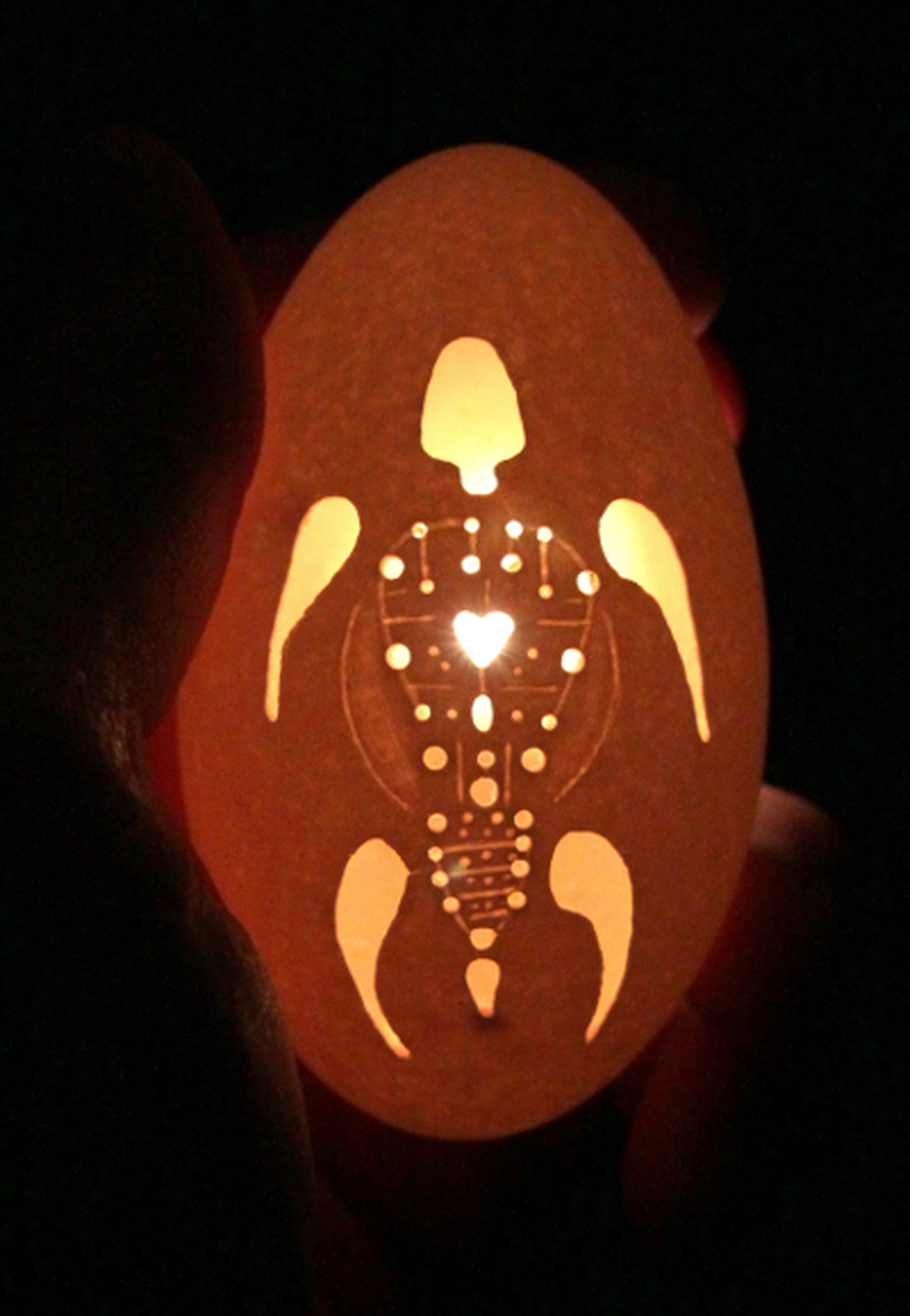 Oksjonil müüdavale munale on nikerdatud kilpkonna kujutis.