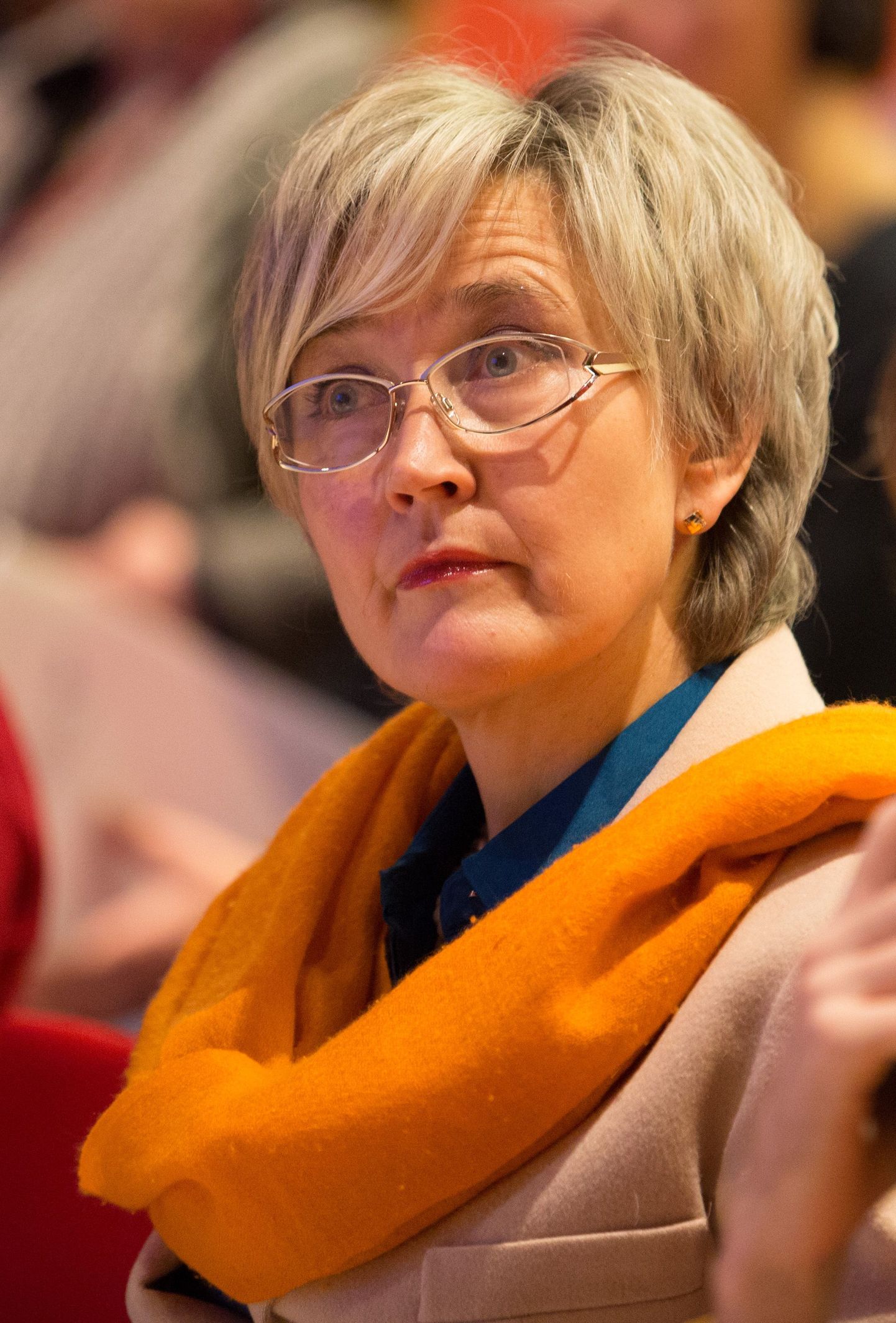 Naistevastase vägivalla konverents "Ava silmad" Tallinna Loomaaias, 25.11.2014. Pildil Marianne Mikko.