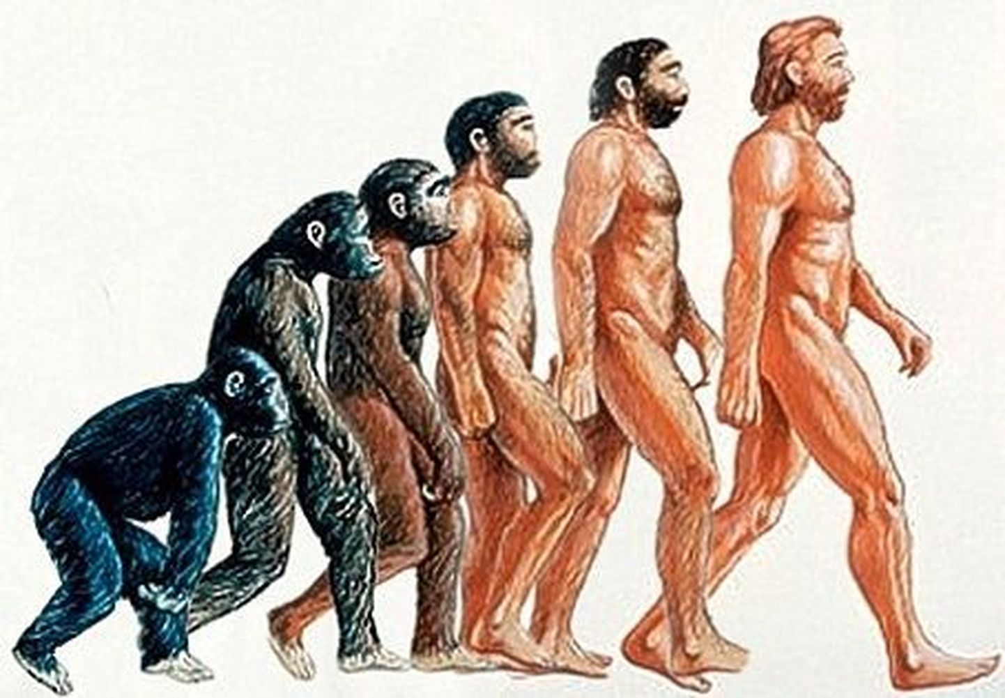 Ekspert: inimevolutsioon ei ole lõppenud