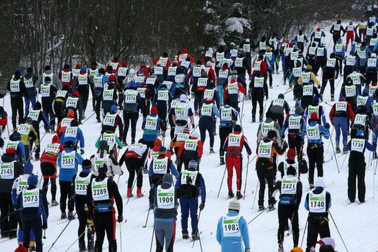 Тартуский марафон (архив).