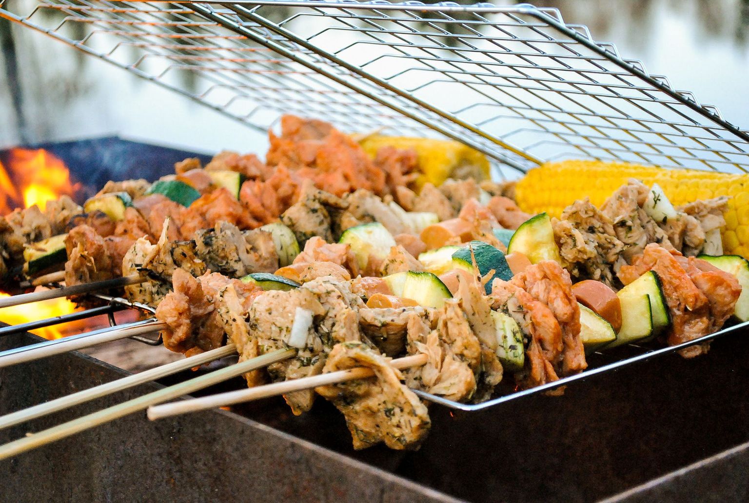 Taimne grill