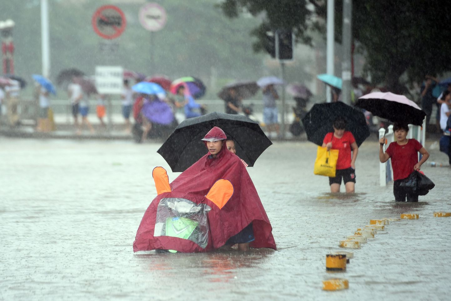 Eelmisel nädalal tabas Hiina Guangdongi provintsi taifuun Dianmu, mis tõi endaga kaasa üleujutused.
