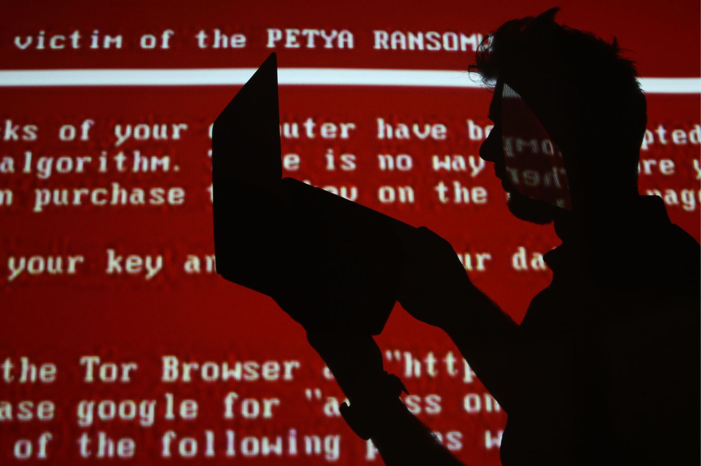 Мужчина с ноутбуком на фоне сообщения о вирусе Petya.