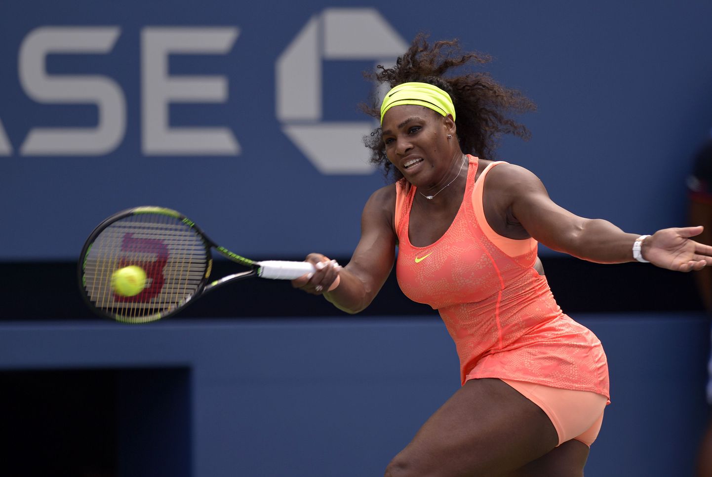Naiste tennise maailma esiereket Serena Williams üritas sel aastal saada enda kätte kõiki nelja suure slämmi tiitlit, kuid ameeriklannal jõi lõpuks eesmärgist puudu kaks võitu, kui ta kaotas US Openi poolfinaalis Roberta Vincile.