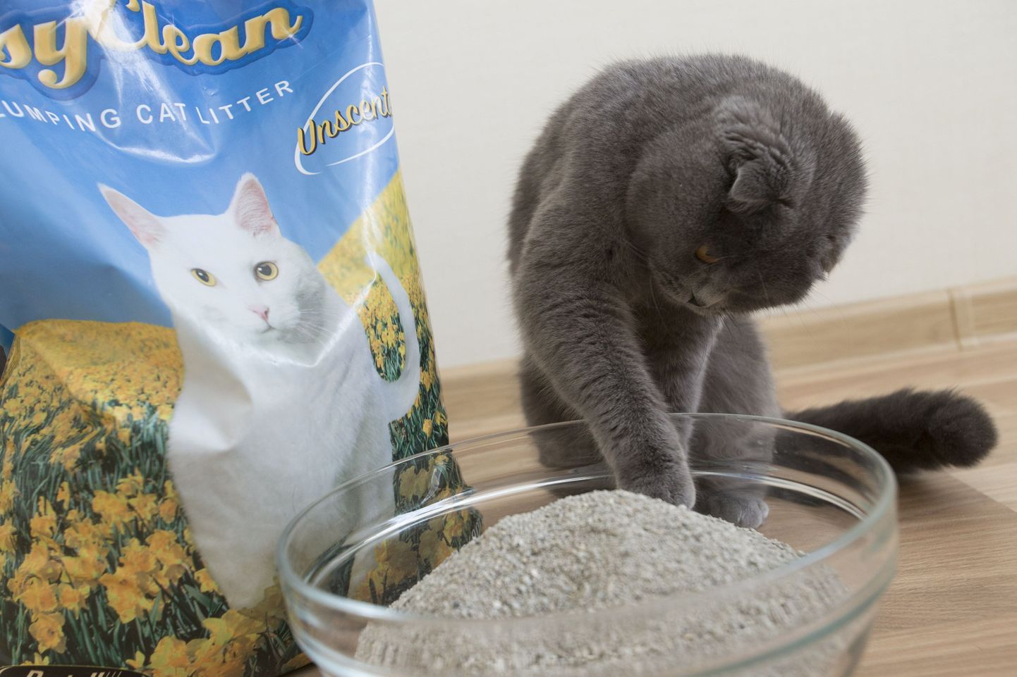 Lõhnateadlased sõnul on kassi uriini lõhn see kõige hullem.