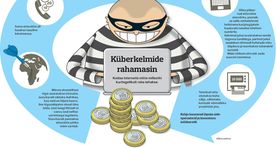 Netikelmid tegid võõralt arvelt tasulisi kõnesid