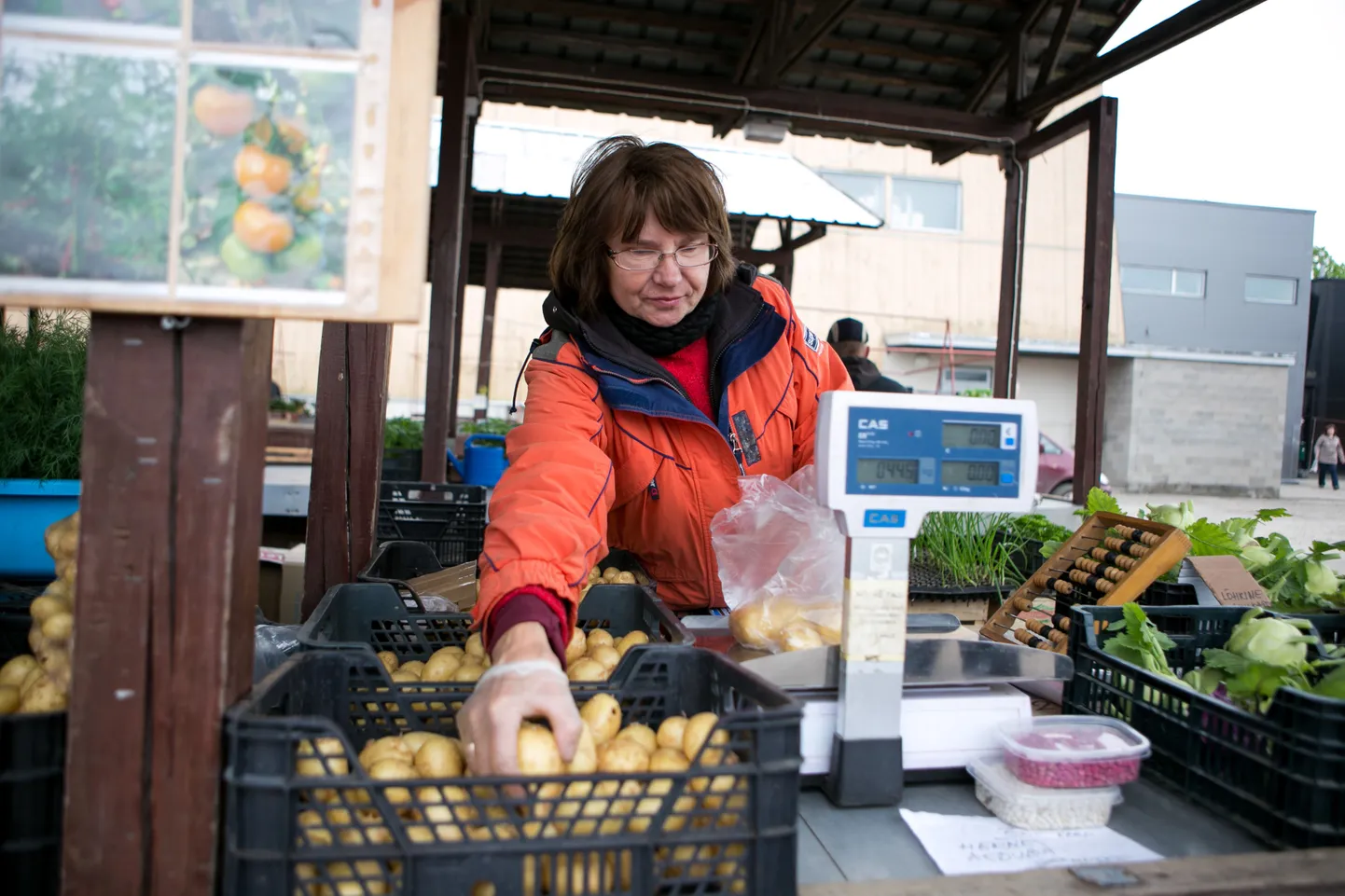 Esmaspäeval müüs Viljandi turul Nõmme talu kartulit Anu Keerov.