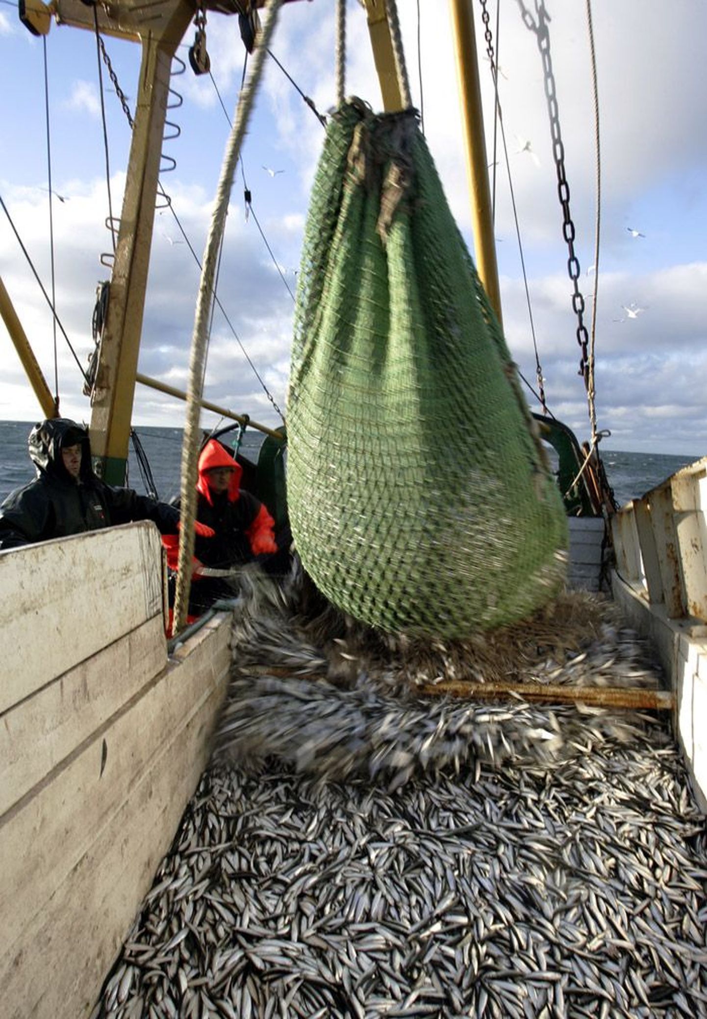 Eesti kaluritele maksis Nord Stream hüvitist väidetavalt palju vähem kui Rootsi ja Soome kalapüüdjatele.