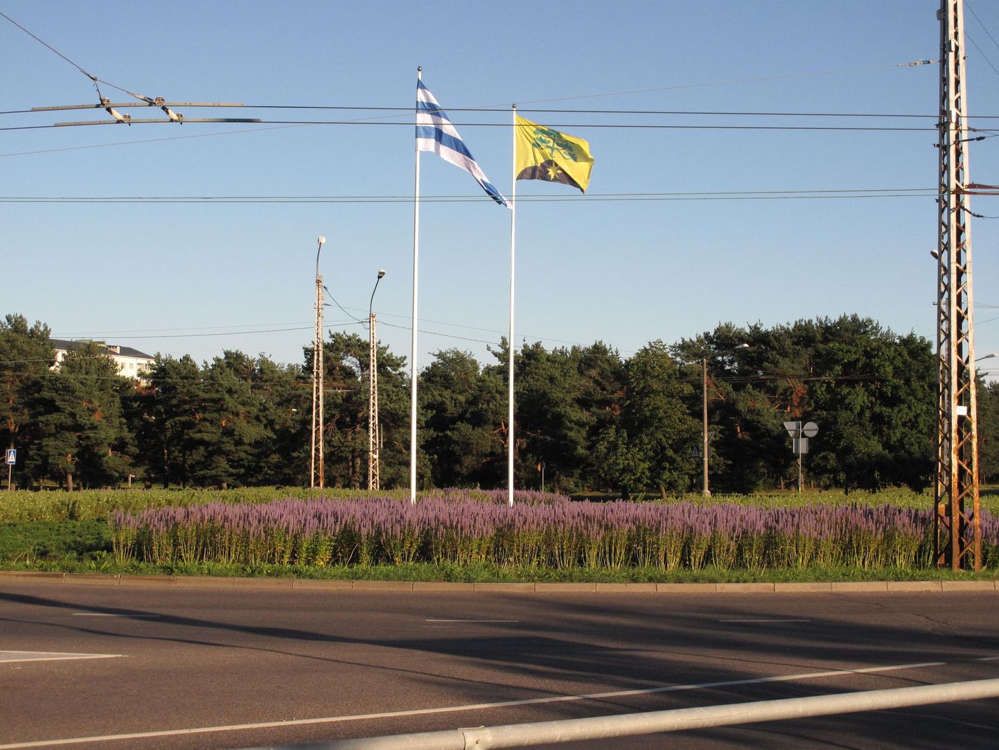Akadeemia tee, Ehitajate tee ja Sõpruse puiestee ristmikule rajatud Mustamäe lipuplatsil lehvivad täna nii Tallinna kui Mustamäe lipud.