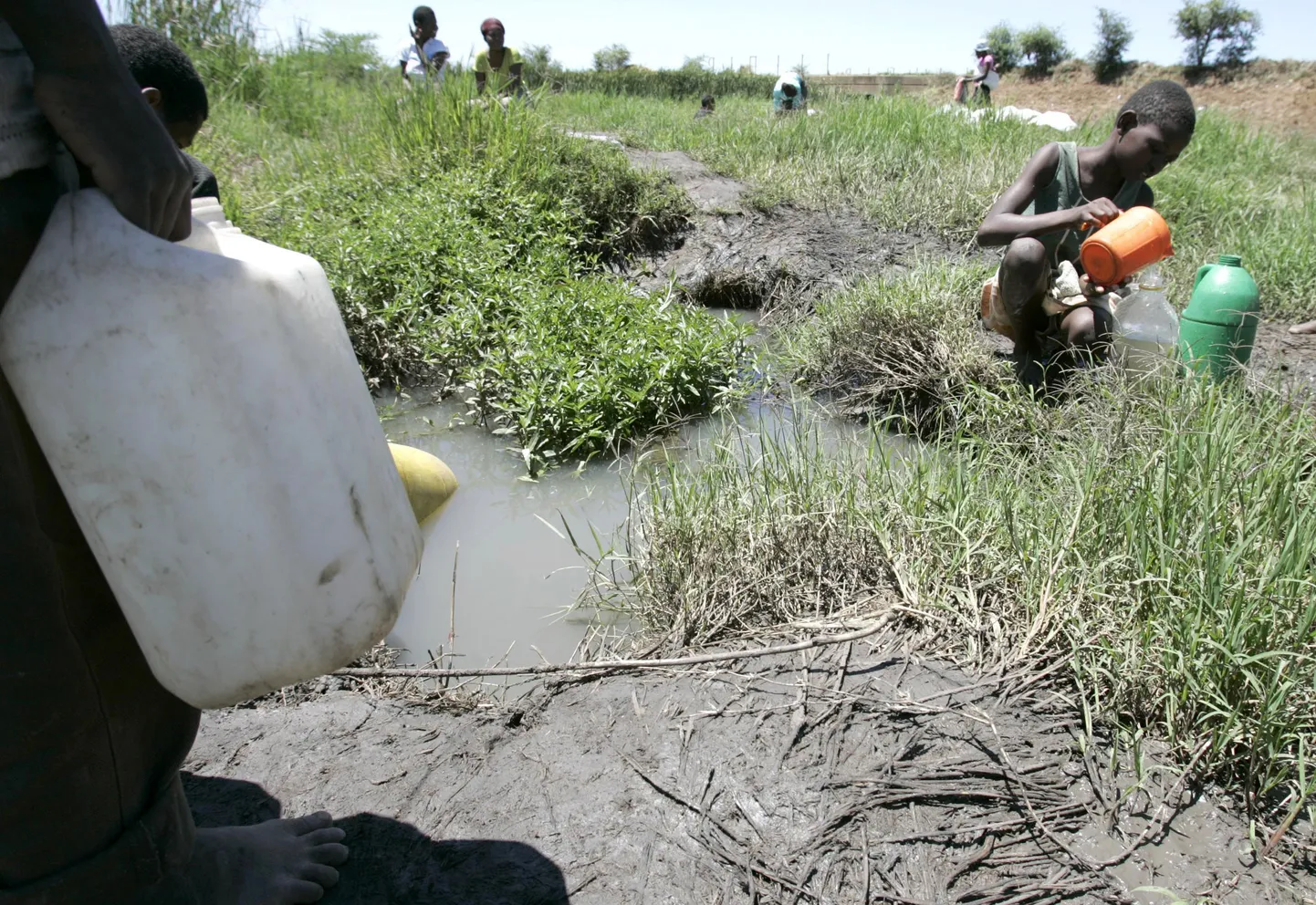 Zimbabwe lapsed kogumas ojast joogivett.