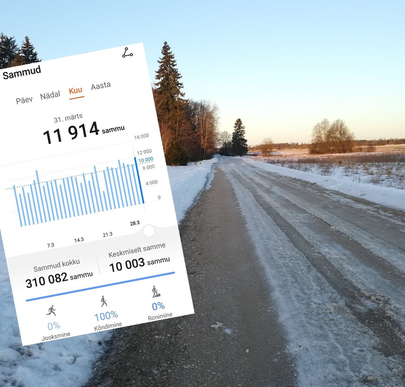 Mõnel päeval ununes telefon kõndima minnes koju, aga vahel kogunes samme rohkemgi. Kokkuvõttes kinnitas liikumisäpp, et olin kuu jooksul iga päev siiski teinud keskmiselt 10 000 sammu.