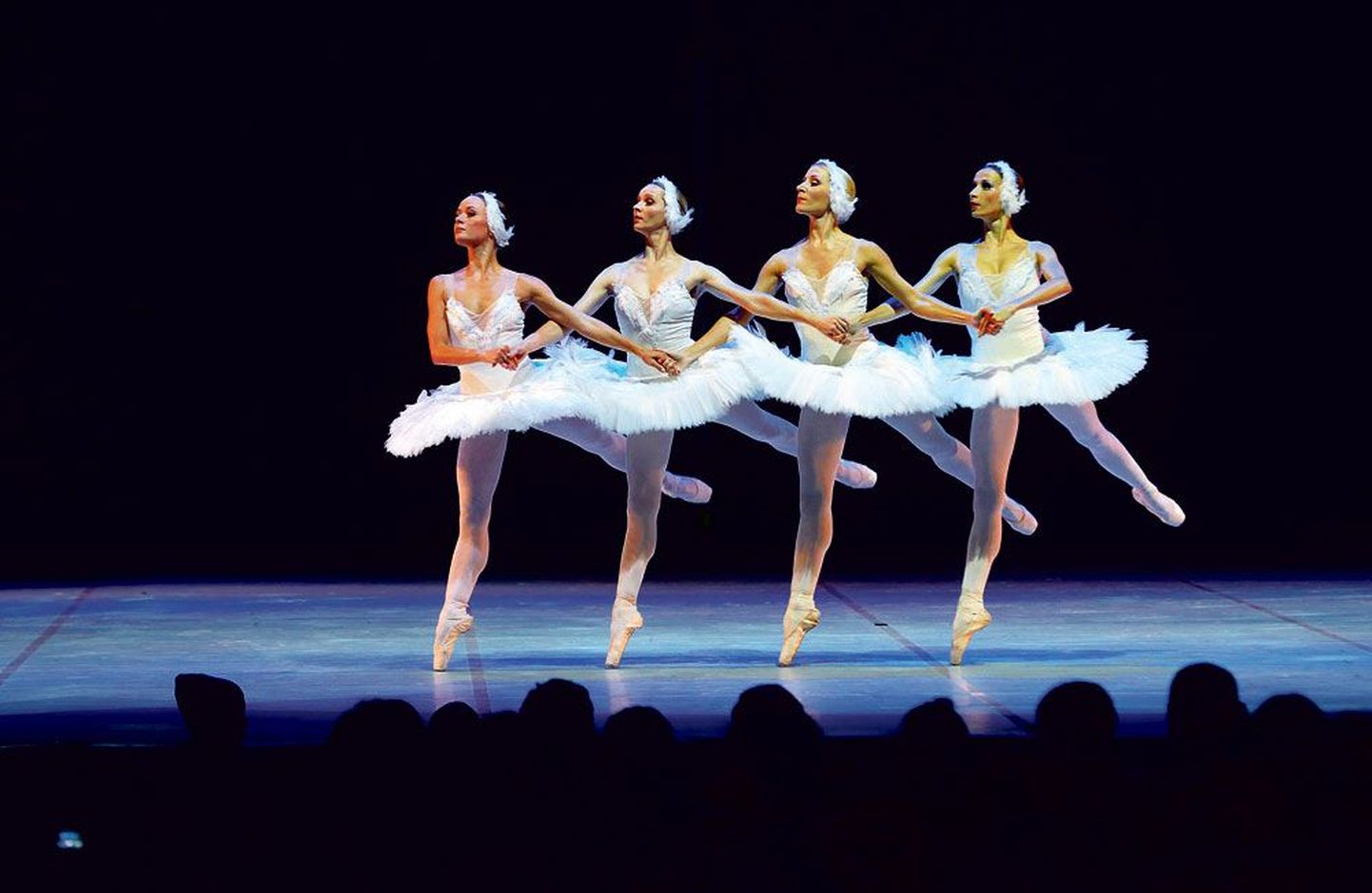 В 2013 году 
Национальные балеты Эстонии и Латвии представили совместную постановку «Лебединого озера», в которой на сцене присутствовало сто лебедей.