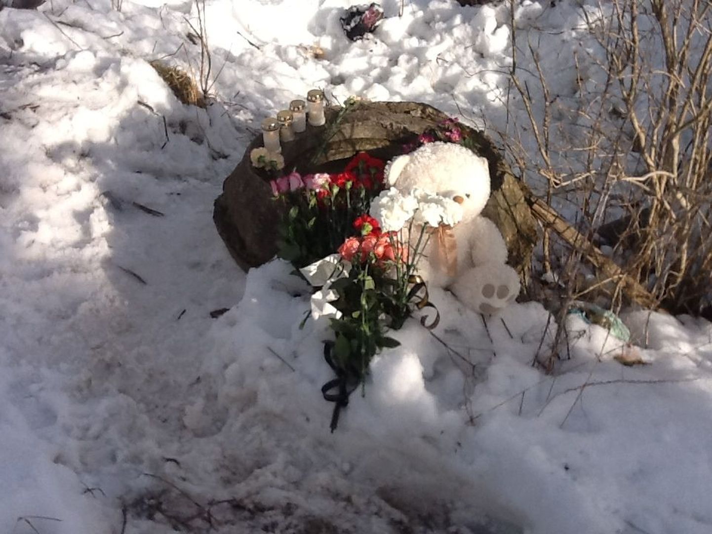 Narvalaste lilled ja küünlad Varvara mälestuseks tüdruku leidmiskoha lähistel.