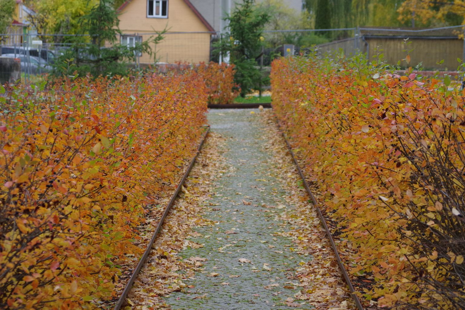 Sügis Võrumaal.