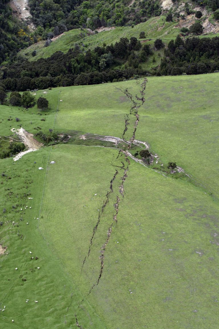 Maavärina jäljed Uus-Meremaal Lõunasaarel Conway lähedasel karjamaal / Scanpix