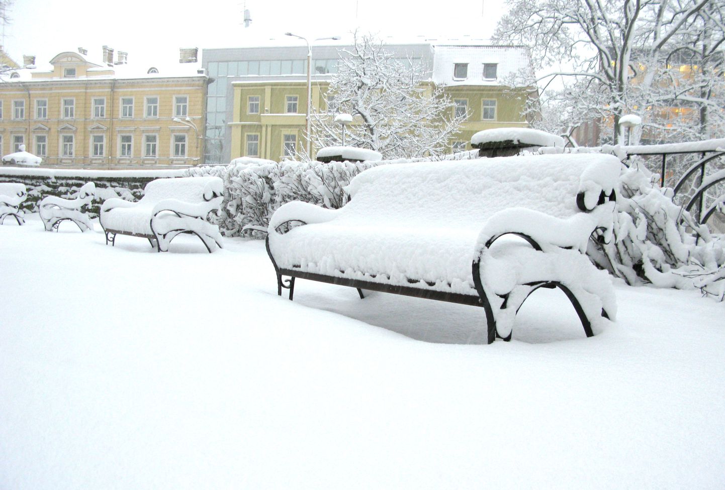 Снегопад в Таллинне.