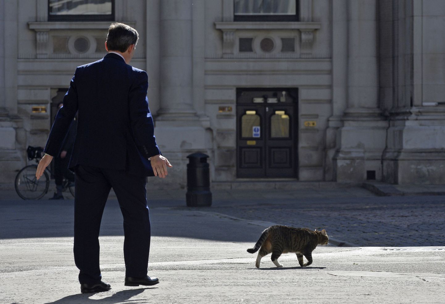 Suubritannias tõstatas ministri kassi seiklus poliitilise küsimuse
