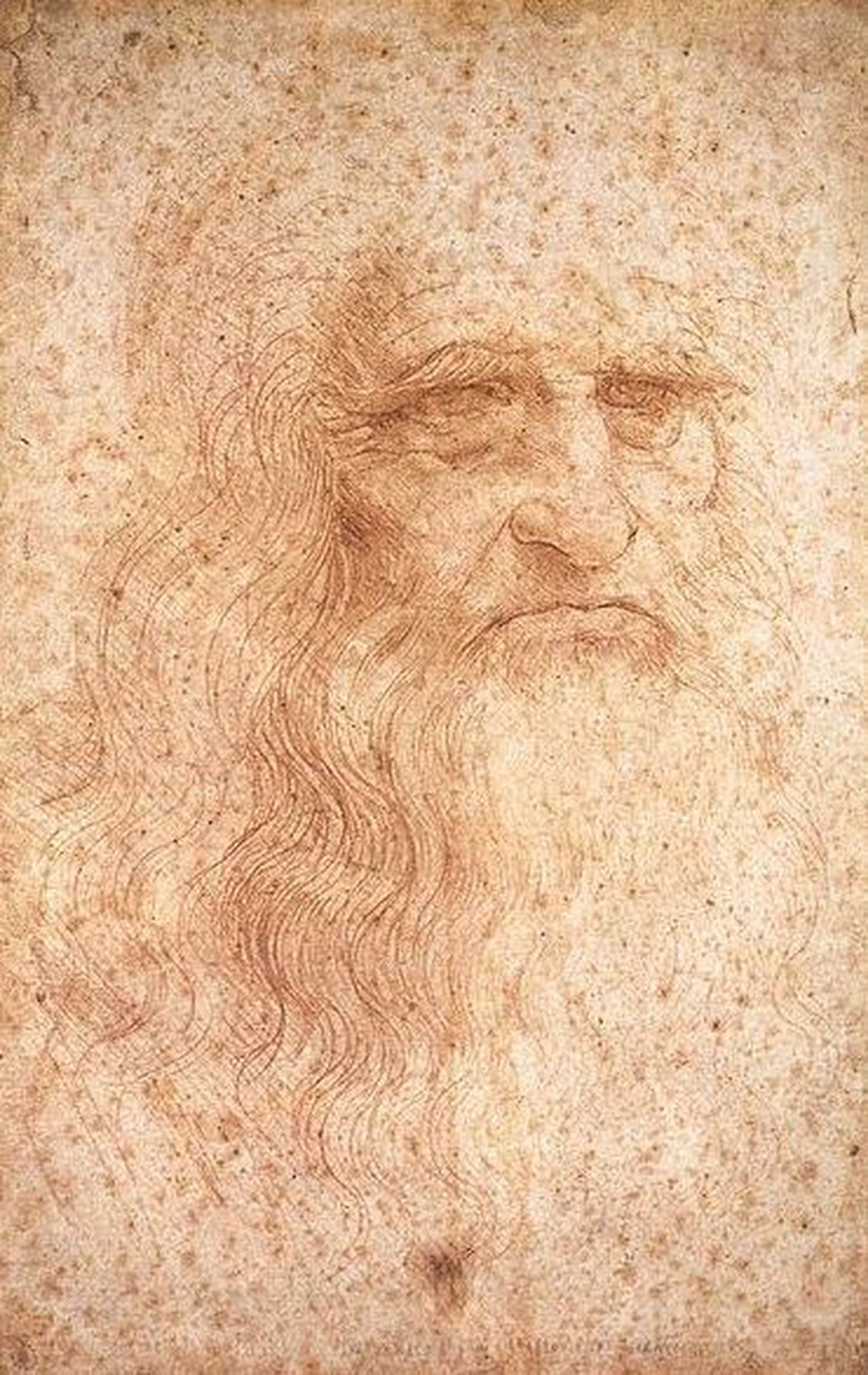 Leonardo da Vinci portree