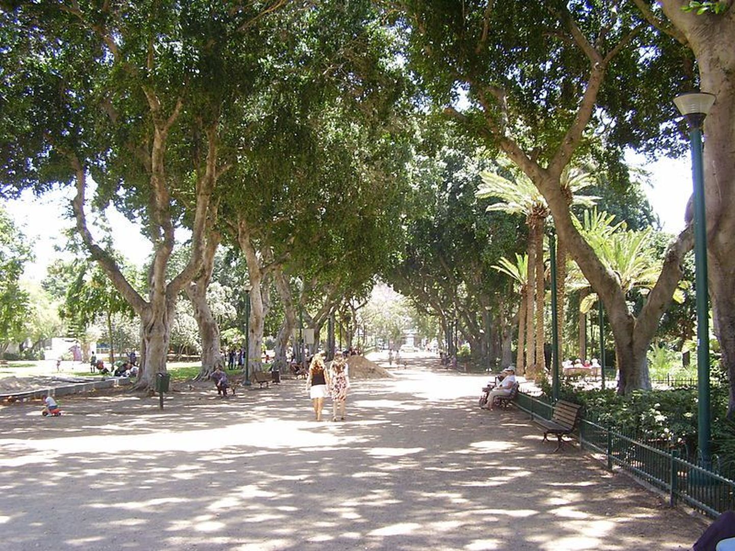 Meiri park Tel Avivis, kuhu plaanitakse rajada mälestusmärk natside poolt taga kiusatud homoseksuaalidele.