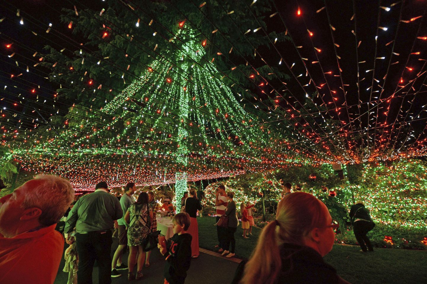 Austraalia pere püstitas jõulutulede rekordi