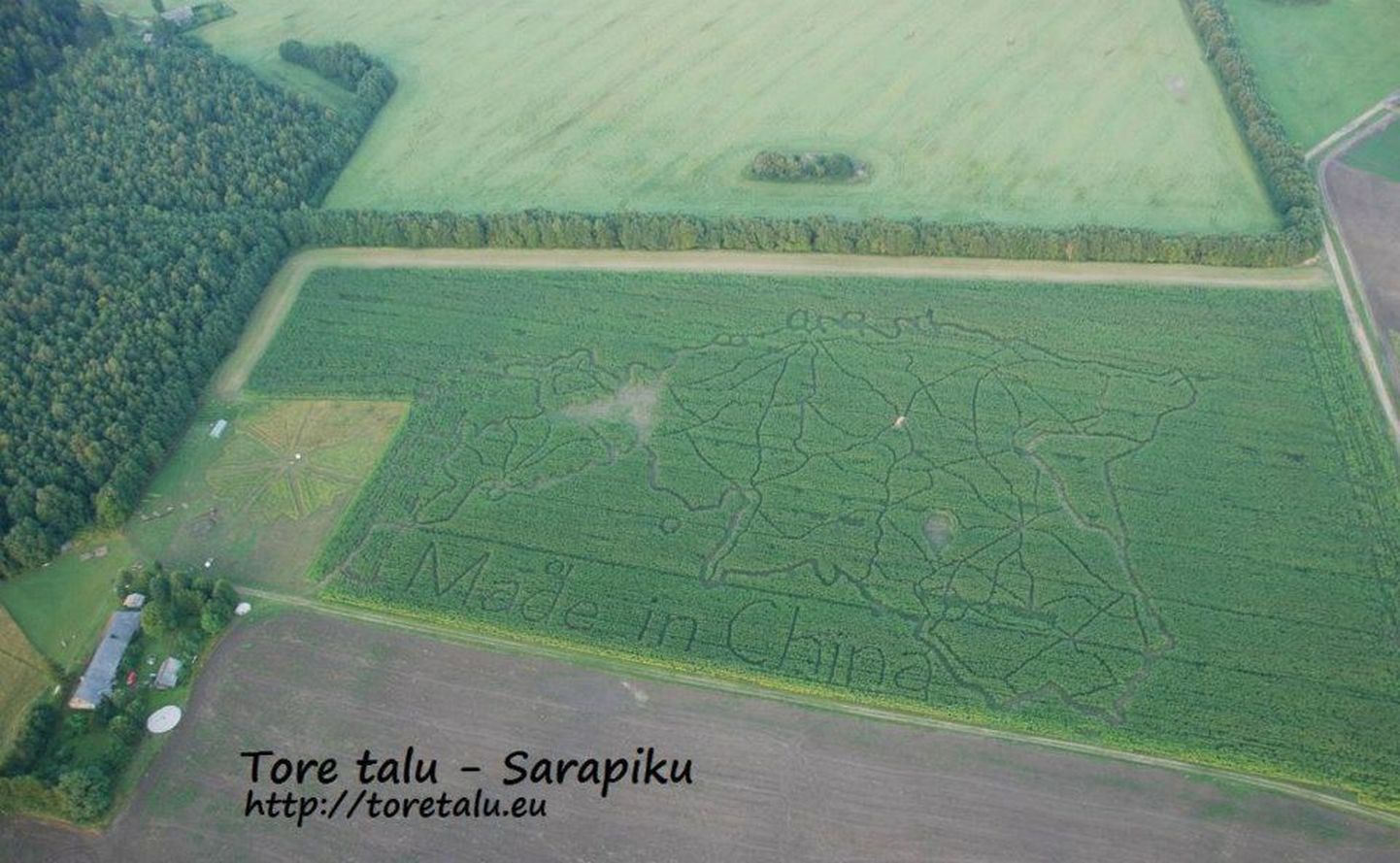 Eestimaa kaart Sarapiku talu maisipõllul