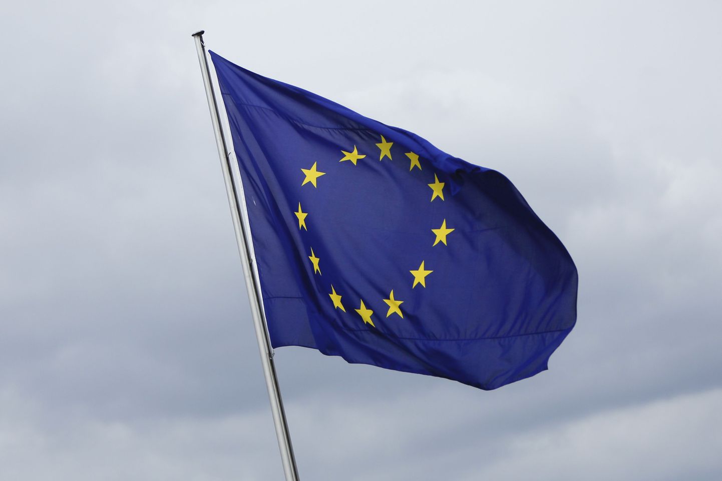 Флаг ЕС.