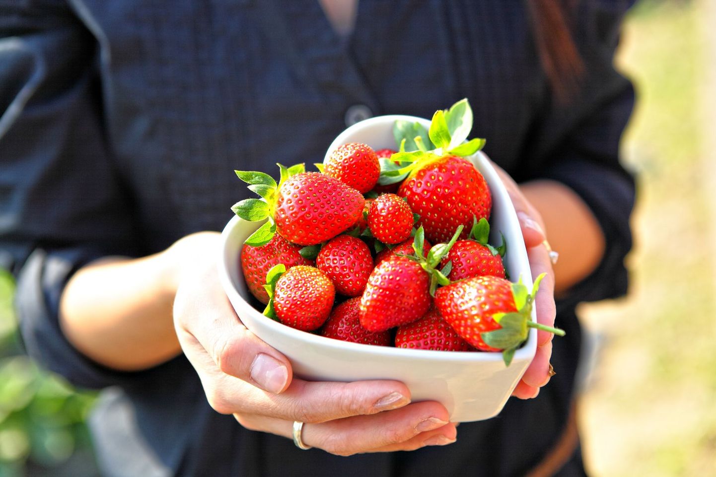 Saaremaa maasikakasvatajad loodavad esimest saaki alles jaanipäevaks.