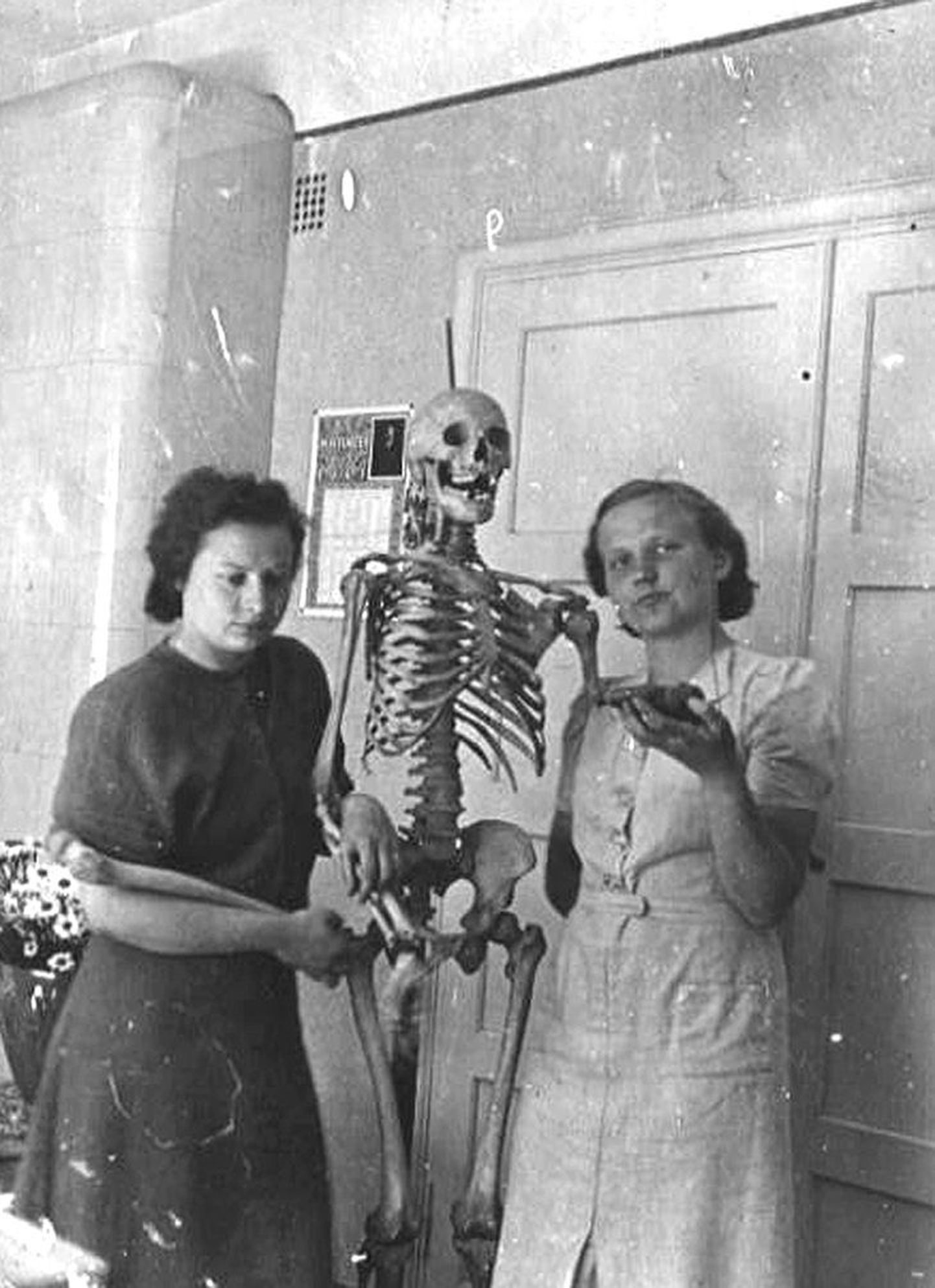 Arstiteaduskonna tudengid Maara Kuldvere ja Haldja Kääri õpivad ühiselt luukere Roberti pealt anatoomiat.