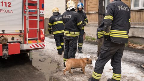 ����: rus.postimees.ee