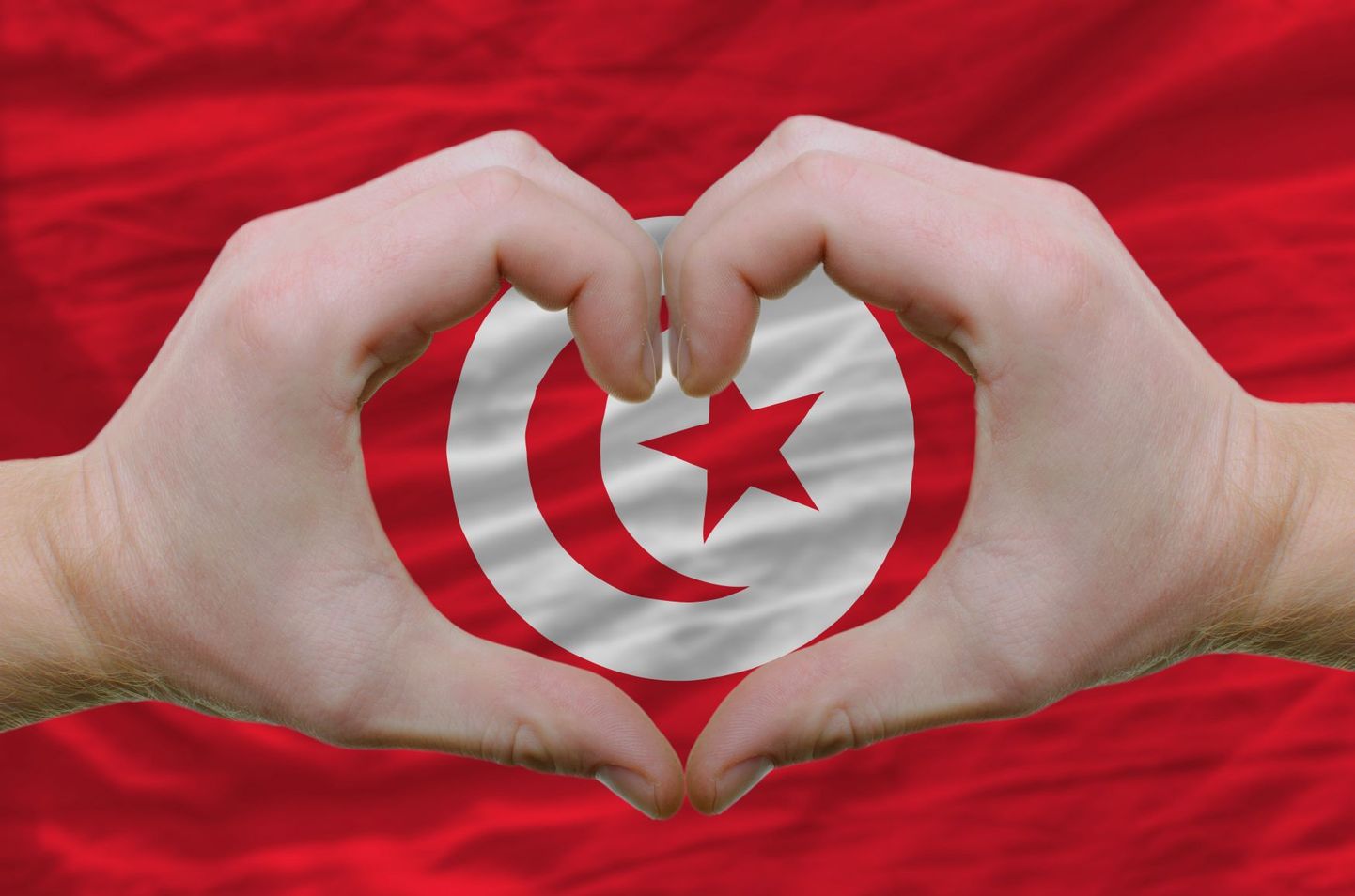 Tuneesia lipp.