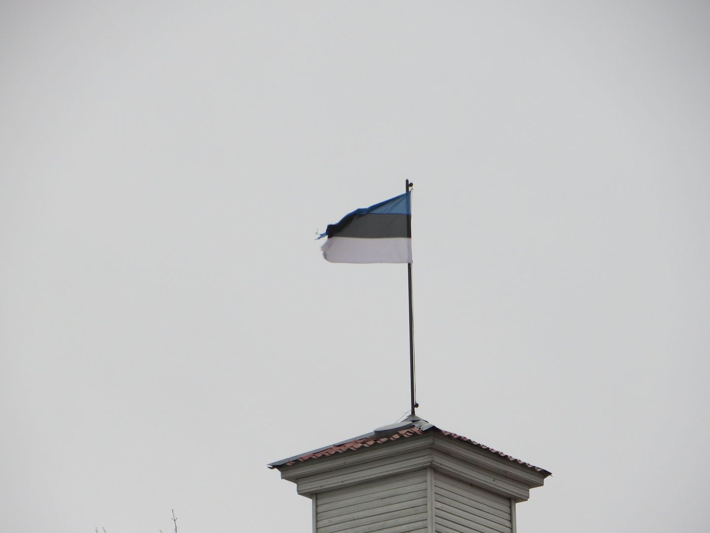 Selline oli Tõrva linnavalitsuse tornis lehviv lipp laupäeval, 31. jaanuaril.