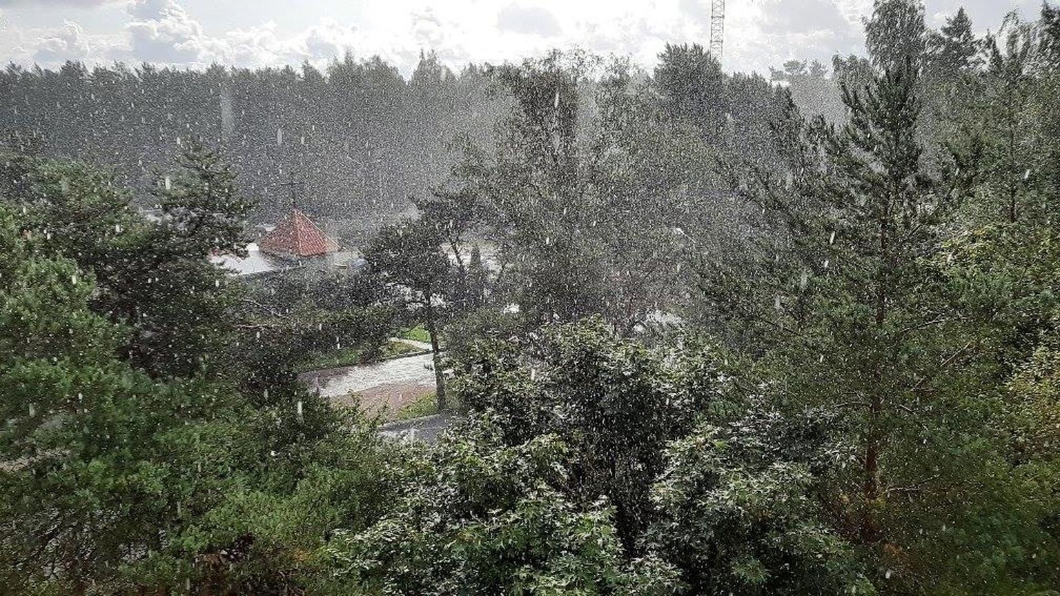 Ilmataat tähistas taasiseseisvumispäeva värskendava vihmasagaraga. Foto tehtud 20. augustil Laagris.