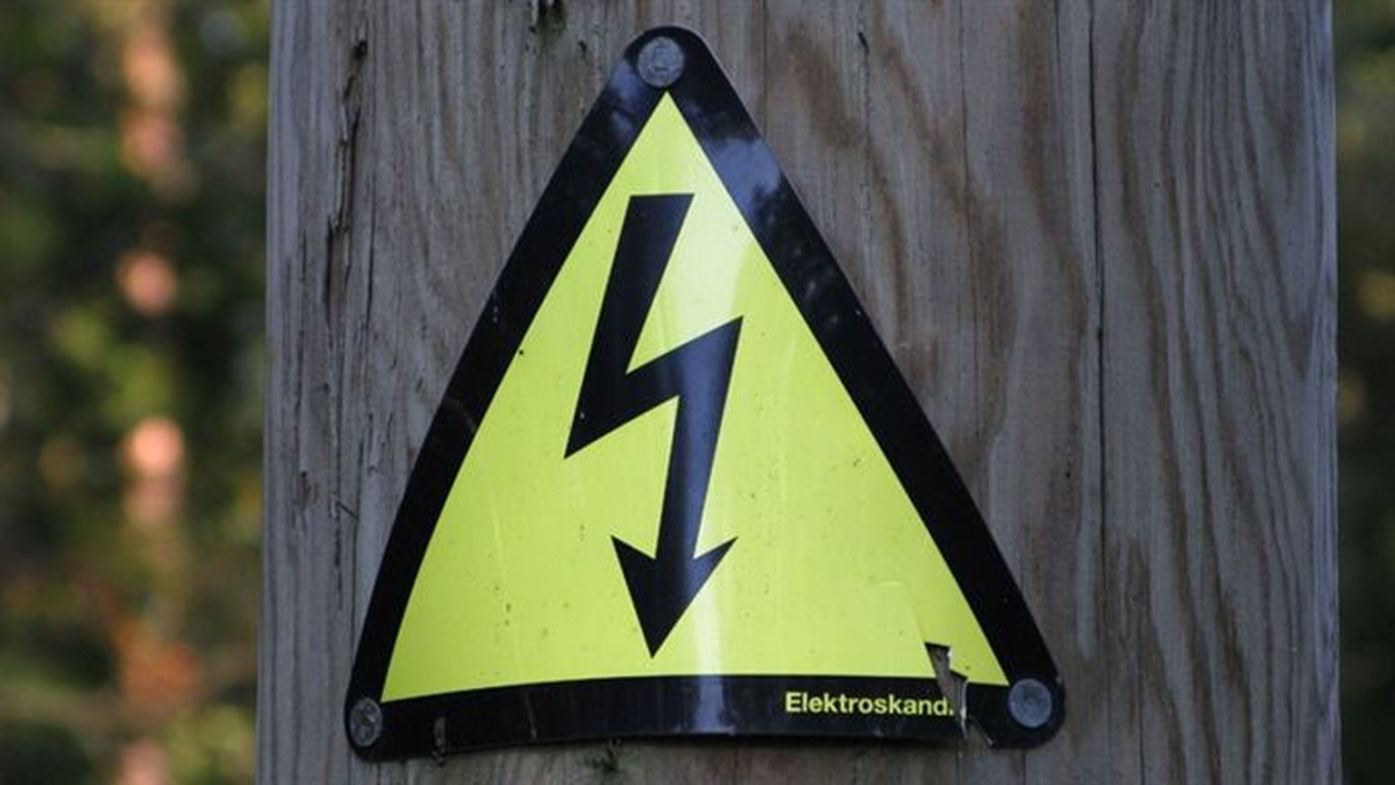 К настоящему моменту цены на электропакеты опубликовали как Elektrum, так и их основной конкурент, нынешний монополист Eesti Energia.