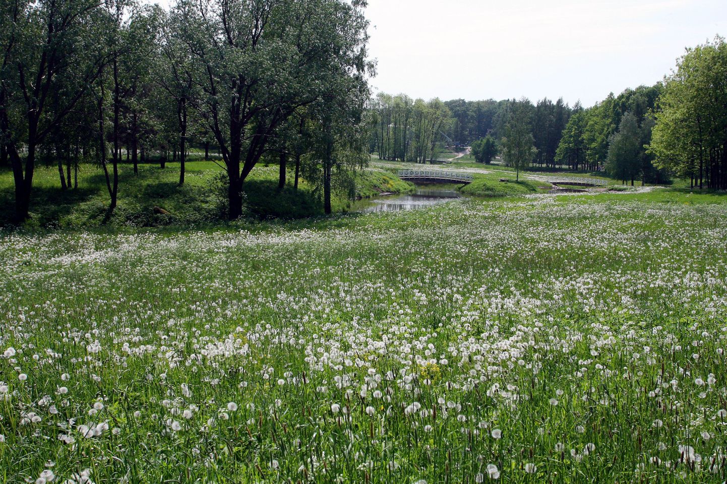 Erakond Eestimaa Rohelised kutsub kõiki inimesi pühapäeval, 4. juulil Viljandi Valuoja oru korrastustalgutele.