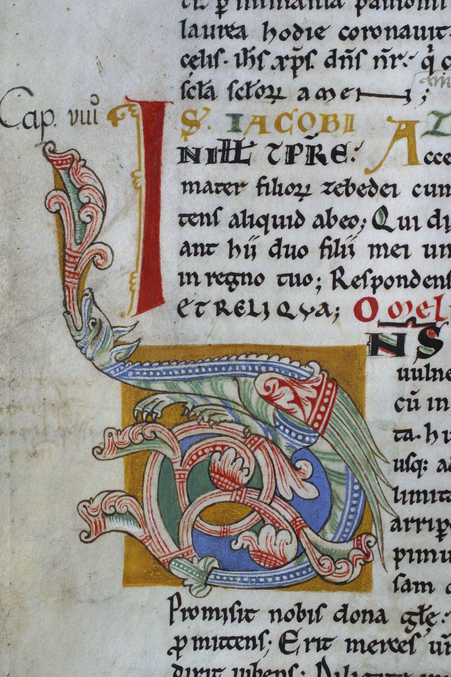 Lehekülg Calixtinus Codexi manuskriptist.
