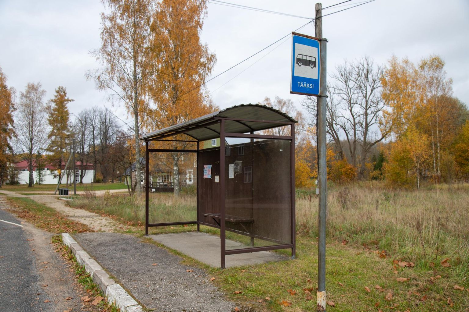Valimisreklaam sundis vallavalitsust esialgu teatama, et ta bussi eest ei tasu, kuid hiljem otsustas ta siiski ümber.