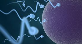 Мужская сперма: десятка интересных фактов