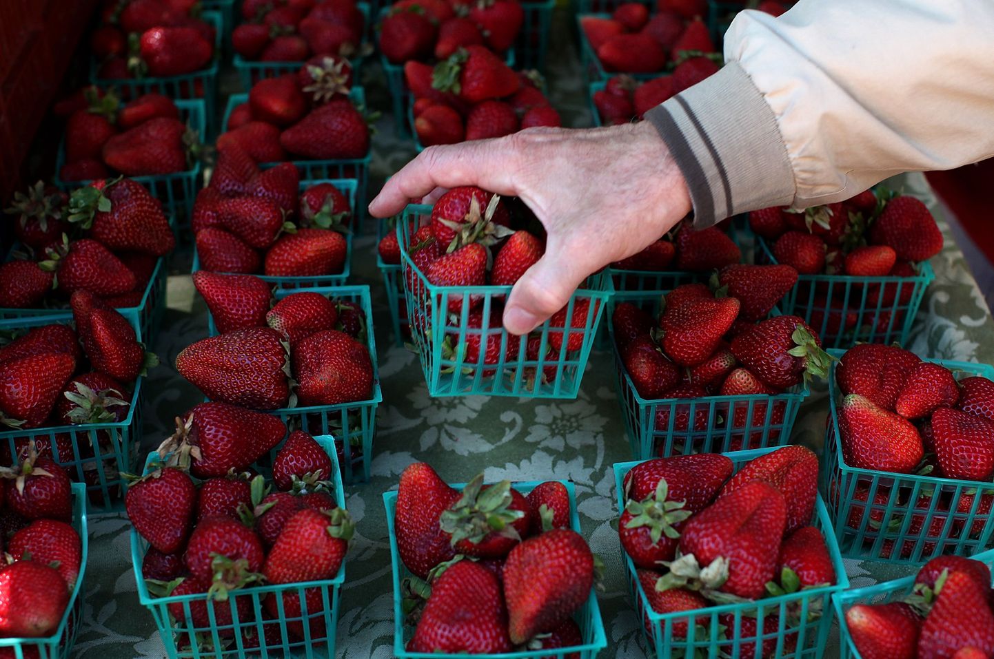 Rootsis leiti maasikatest A-hepatiiti