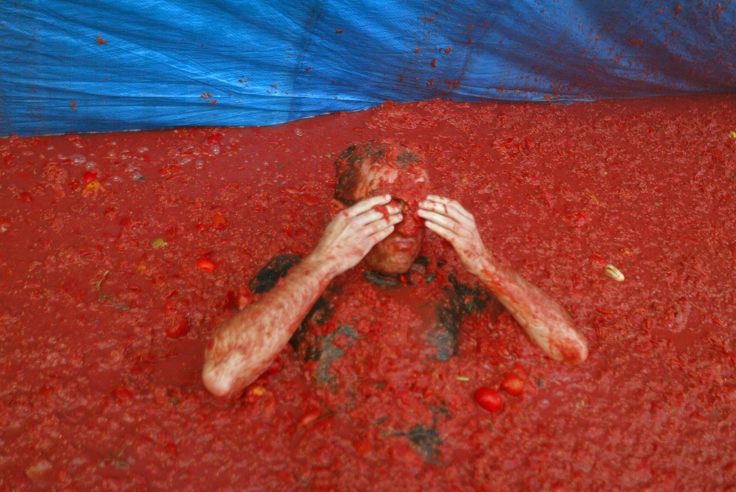 Tomatiloopimise festival