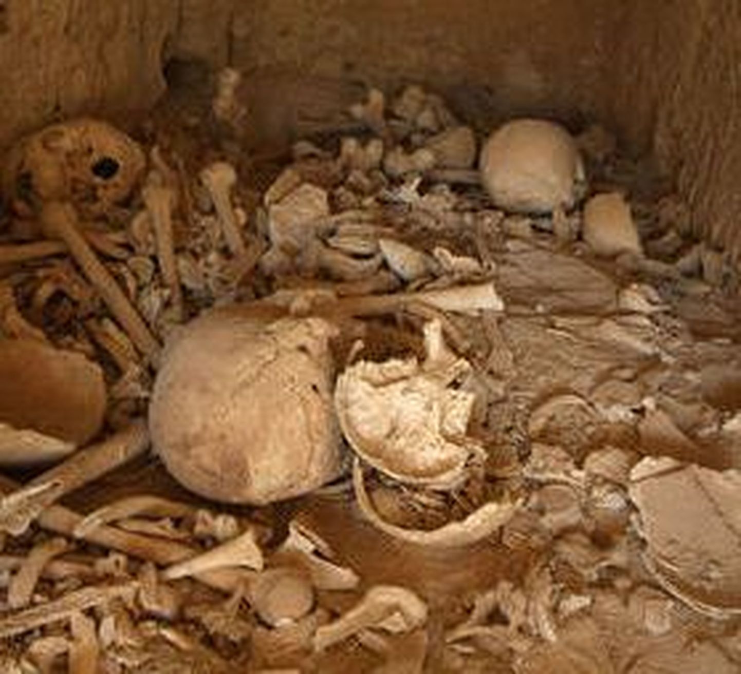 Arheoloogid leidsid märke laialdase kannibalismi kohta