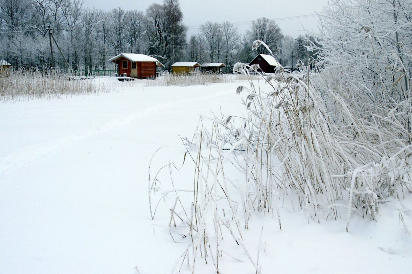 Talvine Ermistu järv.