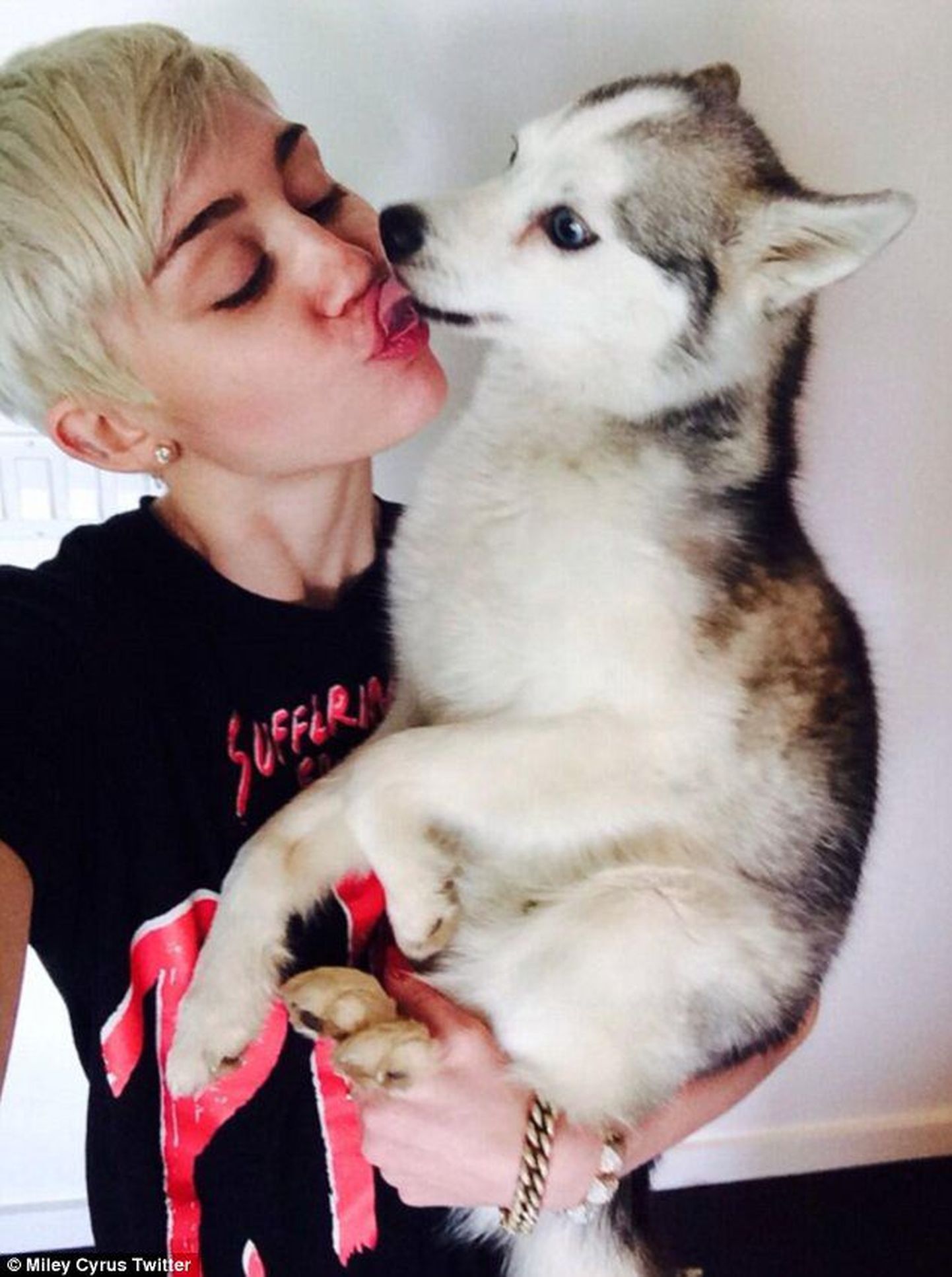 Õnnetu Miley Cyrus kaotas parima sõbra, koer Floyd suri tema tuuri ajal